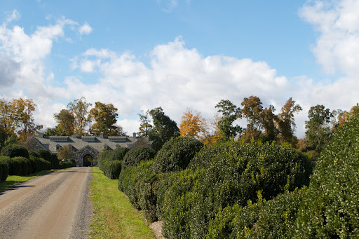 The road leading to the stable is flanked by a boxwood allee that has been pruned with an undulating shape.