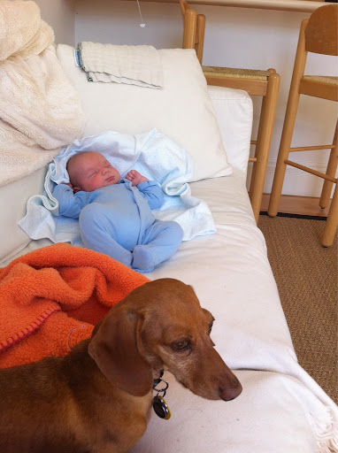 Little Archie Downing and doggie
