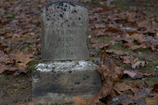 The grave of an infant girl just 12 days old