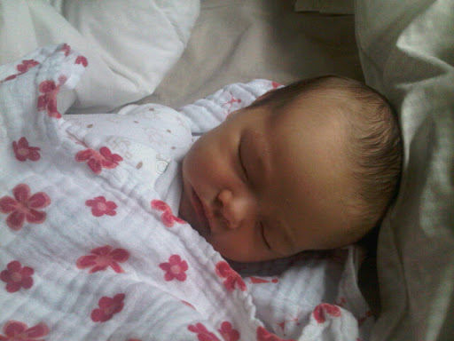A. Elizabeth - 6 1/2 weeks old