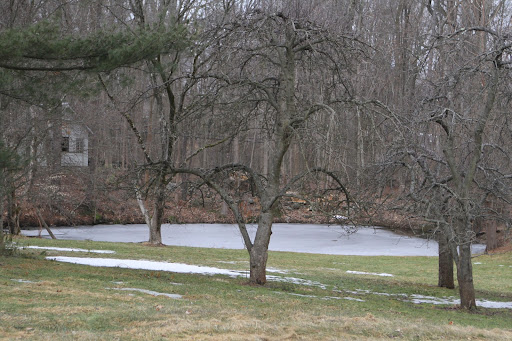 The little pond is still quite frozen.