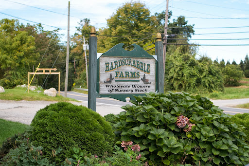This is where I shopped for plants last Saturday. I ended up buying quite a few things, which were picked up by my crew on Monday.