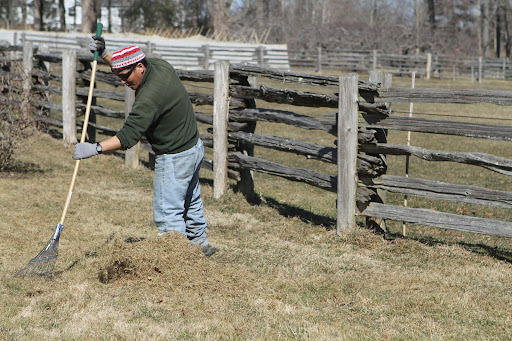 I instructed the farm crew to give the lawn areas a really good raking to remove the thatch, which is dead grass and dried grass clippings. Removing it allows air to penetrate to the roots, making for a healthier lawn.