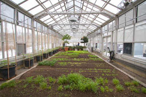 The vegetable greenhouse is where we grow vegetables all winter long right in the ground. The rich composted soil is about 2-feet deep and has been amended with many organic nutrients.