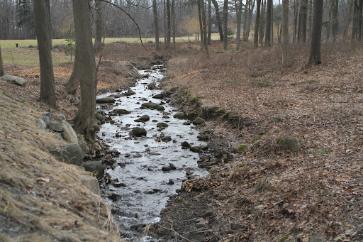 All of the brooks that run through the farm are flowing and gurgling loudly.