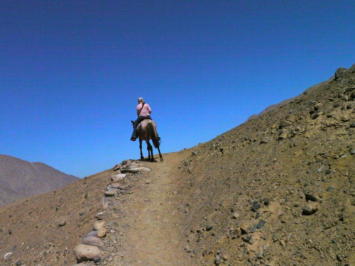 While we sent dad off to ride an ATV, my mother and I took a trail ride.