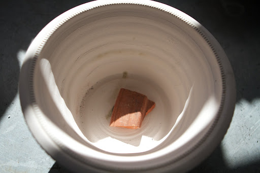 A shard of pottery goes over the hole in the bottom of each pot to keep the potting mix from escaping, but still allowing for water to drain.