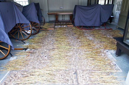 You may recall my blog about the hardneck garlic harvest. Here's the garlic still curing two weeks later.