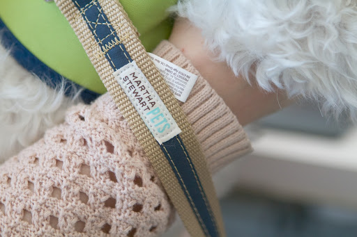 Megan managed to get Brewer one of the very popular Classic ribbon leashes. http://goo.gl/Sft6hA