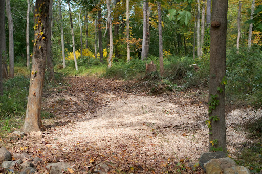 Those chips are broadcast right back into the woods for earthworms and other creatures to devour.