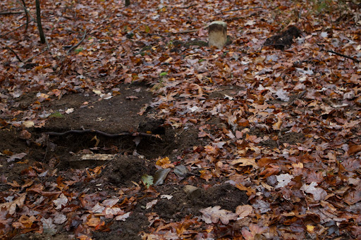 And so was the footstone! Footstones were used to mark where the deceased person's feet were located, clearly indicating exactly where the body was buried, so as not to dig there again.