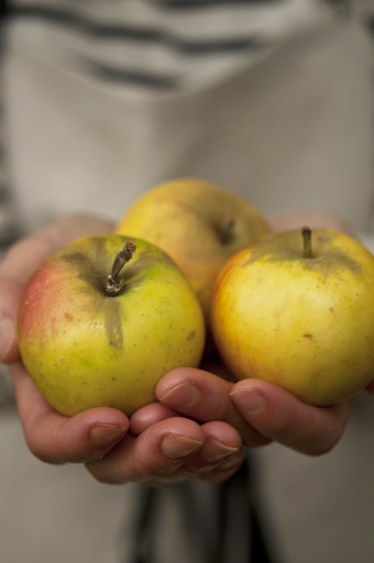 Can we offer you some apples?