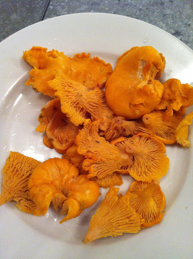 Our mini harvest