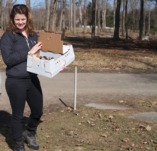 This is Traci Torres, the CEO and cofounder of My Pet Chicken, who delivered 34 new 3-day-old baby chicks to my chicken coop yesterday.