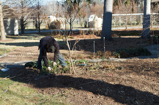 Wilmer was busy in the shade garden near the Tenant House getting it ready for it's winter composting.