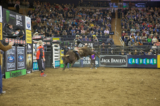 The ultimate goal for PBR athletes each year is to qualify for the prestigious PBR World Finals in Las Vegas where the coveted title of PBR World Champion is decided.