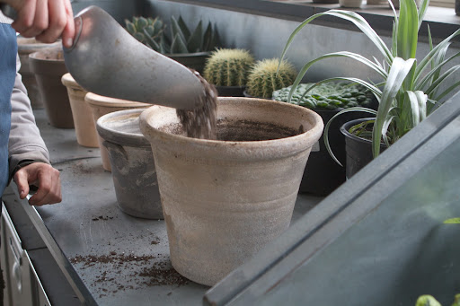 A Miracle-Gro product, this is a fast draining formula that contains a mixture of sphagnum peat moss, composted forest products, sand, and perlite. It is excellent for growing cactus, succulents, palm, and citrus.