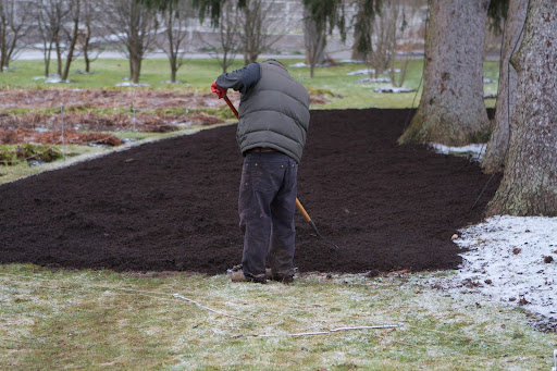 With a rather mild winter thus far, many spring bulbs have begun sprouting.