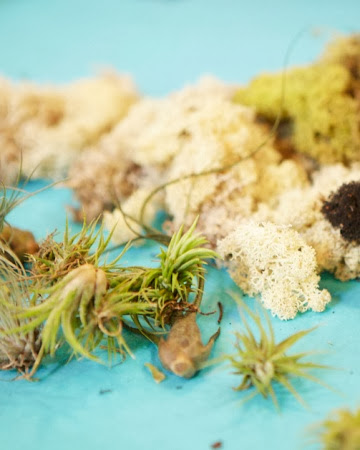 Participants in last year's Urban Gardening Master Class with Flora could make a vertical garden, a terrarium, or aerium to take home.
