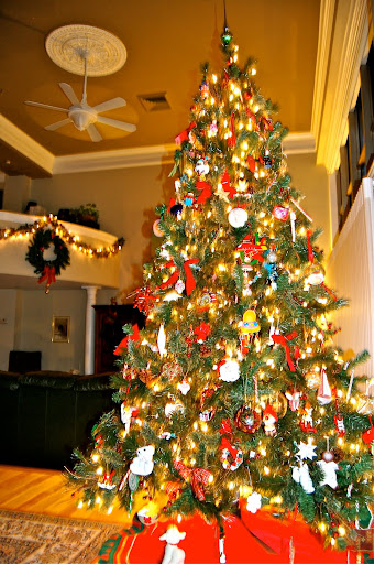Here is a photo of Elizabeth Hope's holiday decor.