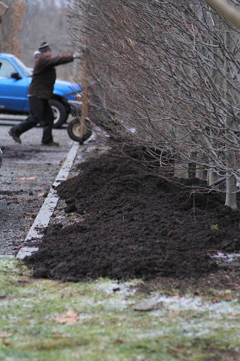 A thick layer of mulch will help to discourage weeds from growing by depriving them of sunlight and air.