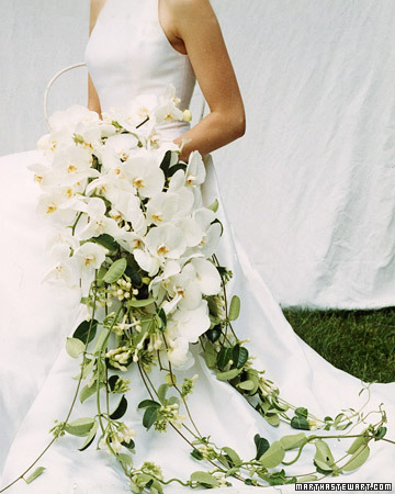 Here's an example of a fabulous wedding bouquet woven from phalaenopsis orchids and trimmed with stephanotis that flow to the ground. From Martha Stewart Weddings, Fall 2002
