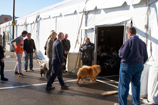 Time for the workshop! My dogs accompanied me as I entered the tent and we all got a nice welcome from the 500+ in attendance!