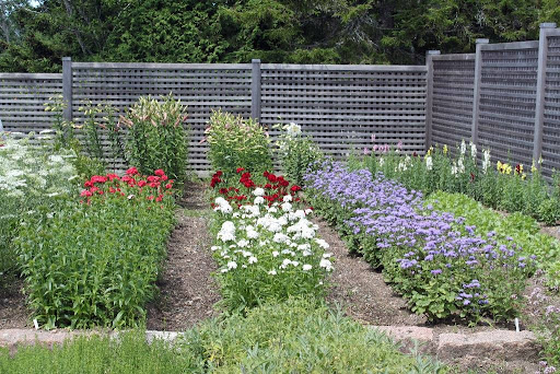 The cutting garden is growing quite well this year. Mike has been keeping the beds neat and weed free.