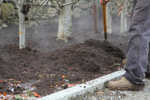 In my opinion, a brown, shredded bark, stripped from fallen trees and run through a shredder provides and elegant decorative finish, like my mulch.