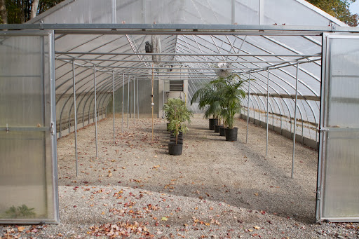 This is the greenhouse where most of the potted tropical plants are stored through the winter. These plants were brought from East Hampton, where I have no greenhouse.
