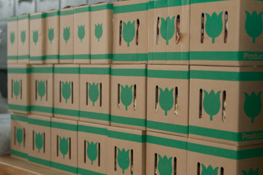 It's always exciting when the spring flowering bulbs arrive in the autumn. This shipment came from Van Engelen, a company that imports quality Dutch bulbs.