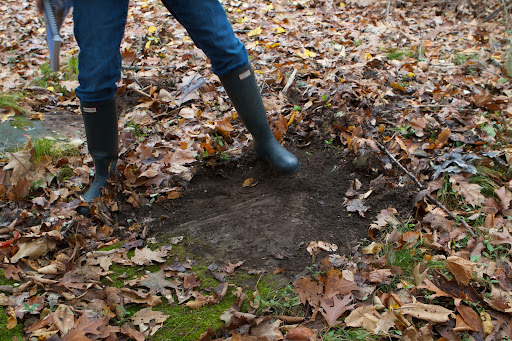 Stones that have toppled are often buried beneath several inches of composted leaves. With a little gentle digging, stones can be unearthed.