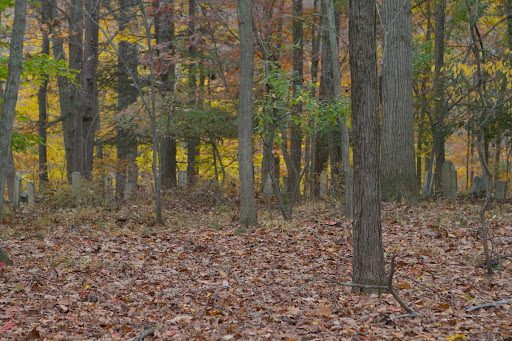 Cantitoe Cemetery needs a lot of clearing and restoration and FBBG is hopeful that one day that will take place.