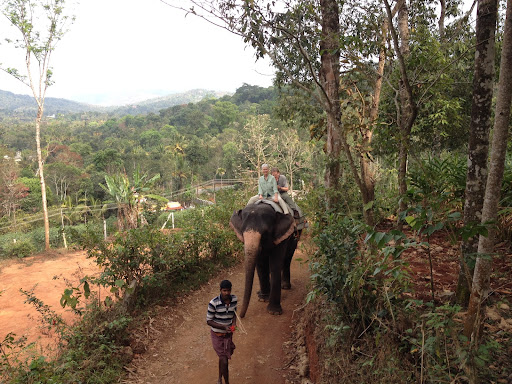 My father and my stepmother, Polly, enjoyed their leisurely ride. The elephant and her trainer develop an extremely close bond working together for so long; they even develop a special language so that the trainer can give verbal and tactile commands.
