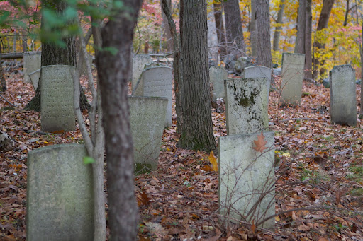 It's interesting to note that when this cemetery was formed, the land was cleared and no trees were growing here. These trees sprouted and have taken over.