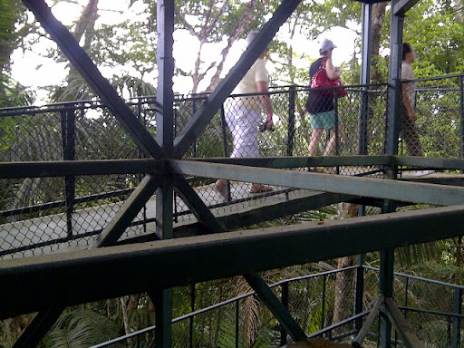 At the top of the canopy tour, there is an observation tower about 90 feet tall. The ramp around the tower is an easy climb for all fitness levels.