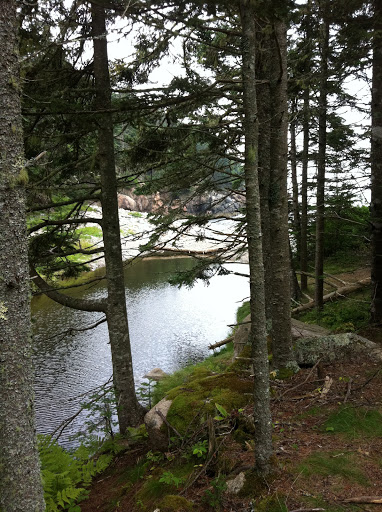 The alley of trees opened up to Hunters Cove.