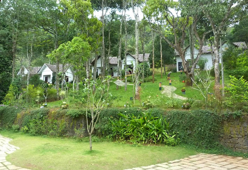 Our accommodations for the week were at the Niraamaya Cardamom Club in Thekkady, nestled among cardamom plantations. When we arrived we had time to walk the beautiful grounds before getting caught in a downpour. Our trip fell after the end of the monsoon season, so luckily we had lovely weather for the rest of the week.