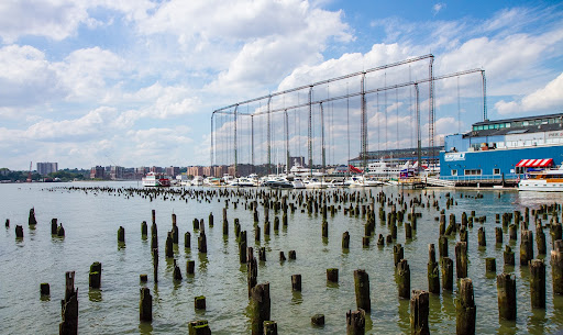 These piles are the remains of an old pier and will be kept like this to benefit the underwater wildlife. The river has been slowly re-vitalizing and now has 70 varieties of fish, including white perch, striped bass, sturgeon, and eels.