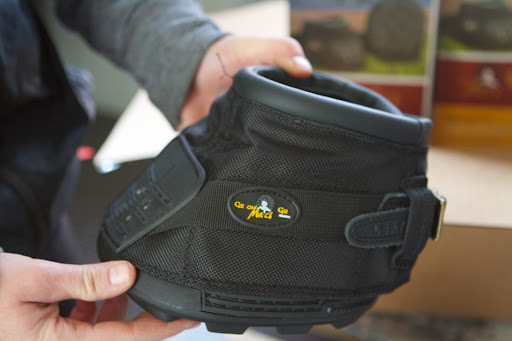 Betsy likes this style of boot for the Friesians because it sits low, clearing much of their feathery fetlock hair.