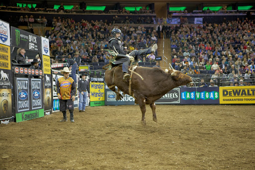 In 2007, Spire Capital Partners finalized a deal with the PBR Board of Directors to acquire the interests of many of the retired founding riders and invest in the growth of the organization.