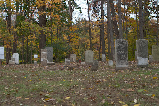 We then visited another cemetery in Bedford Hills where many members of the Dingee family, another original settler, are interred. This one is a work in progress of the FBBG.