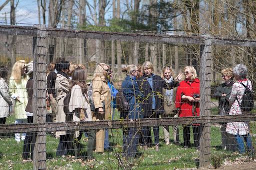 The chicken yard was the next stop. I told them that Lily, my weekend housekeeper taught me a really good tip from her native China. You can slow down the natural pecking order of chickens by hanging cabbage heads in the yard. The chickens will peck the cabbage and not each other.