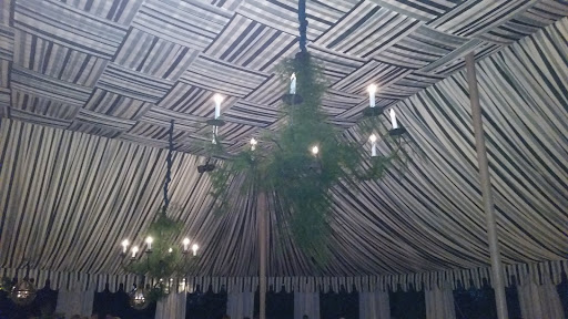 Later that evening, I went to a dinner hosted every year by Lally Weymouth. She entertained several hundred friends under an incredible canopy. Each year it is different and extraordinary!