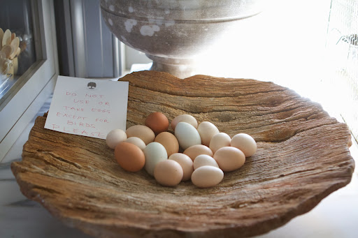 Doves also benefit from animal proteins, such as hard-boiled eggs. Normally, there are plenty of eggs to share, but my hens aren't laying that many eggs at the moment, and I'm trying to ensure that there are some to feed the birds every day.