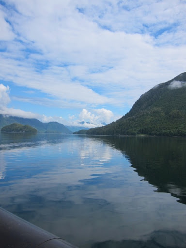 The water was beautifully still, which is a good condition for spotting whales.