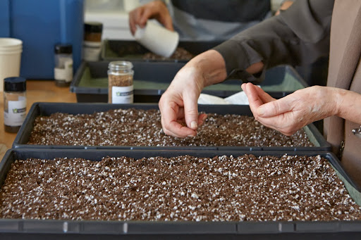 Tarren and Marco taught us how to fill the growing trays and plant them with seeds. I was sowing radish seeds in the growing medium.