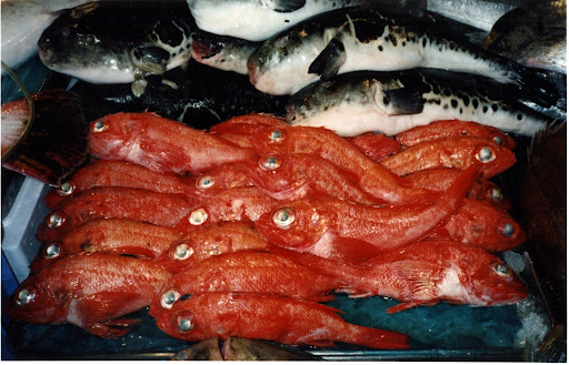 Three million pounds of fish are sold daily at Tsukiji!