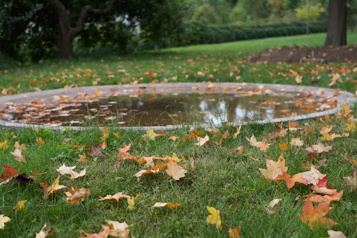 And the leaves are falling! This is the large sunken cement bird bath.