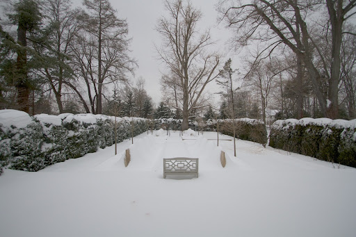 You may recall that this formal garden has been planted with many small boxwood, lily bulbs, and allium bulbs. Can't wait for spring!